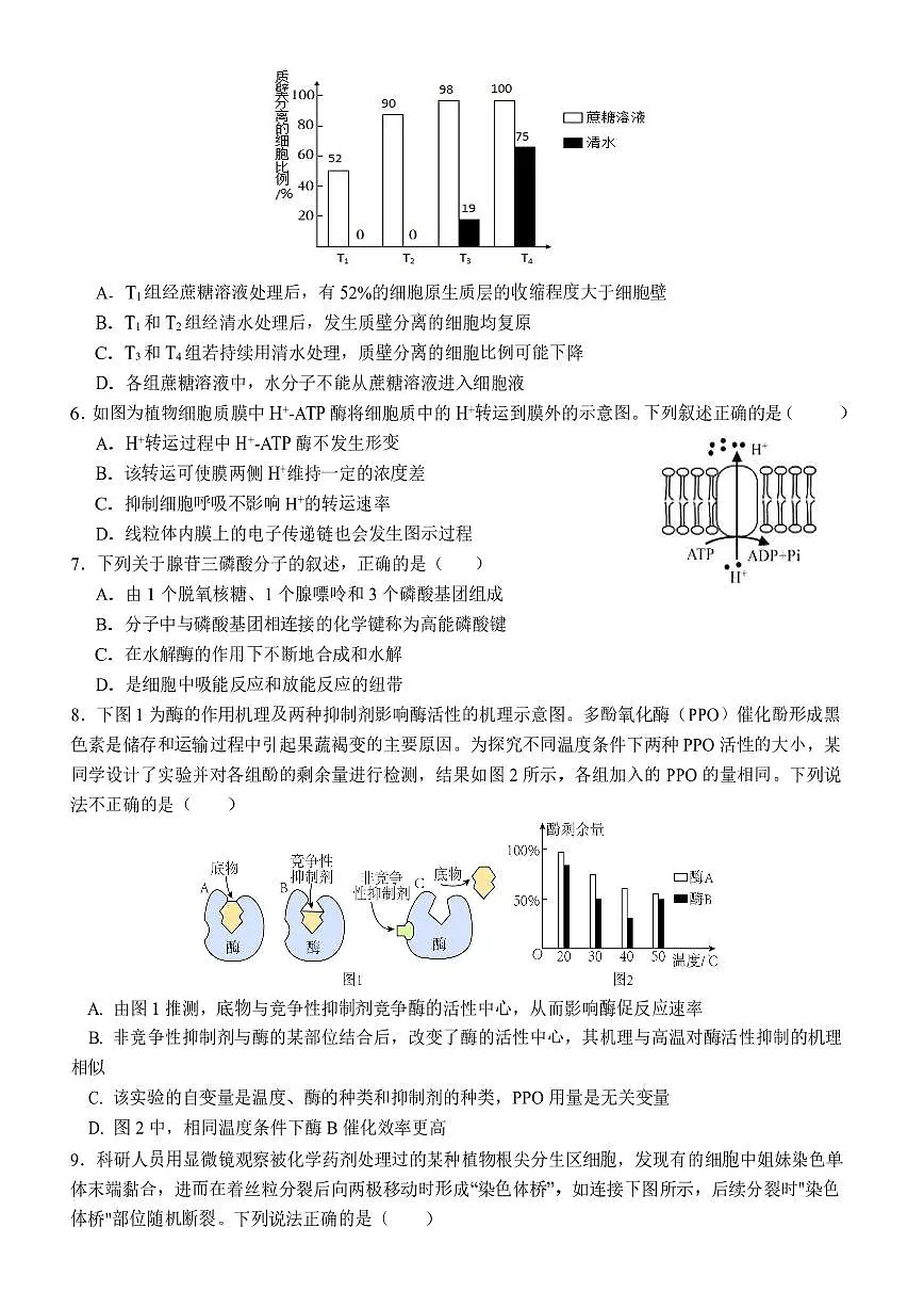 2024届哈尔滨师范大学附属中学高三上学期第三次调研考试(11月)-生物试题（含答案）第2页