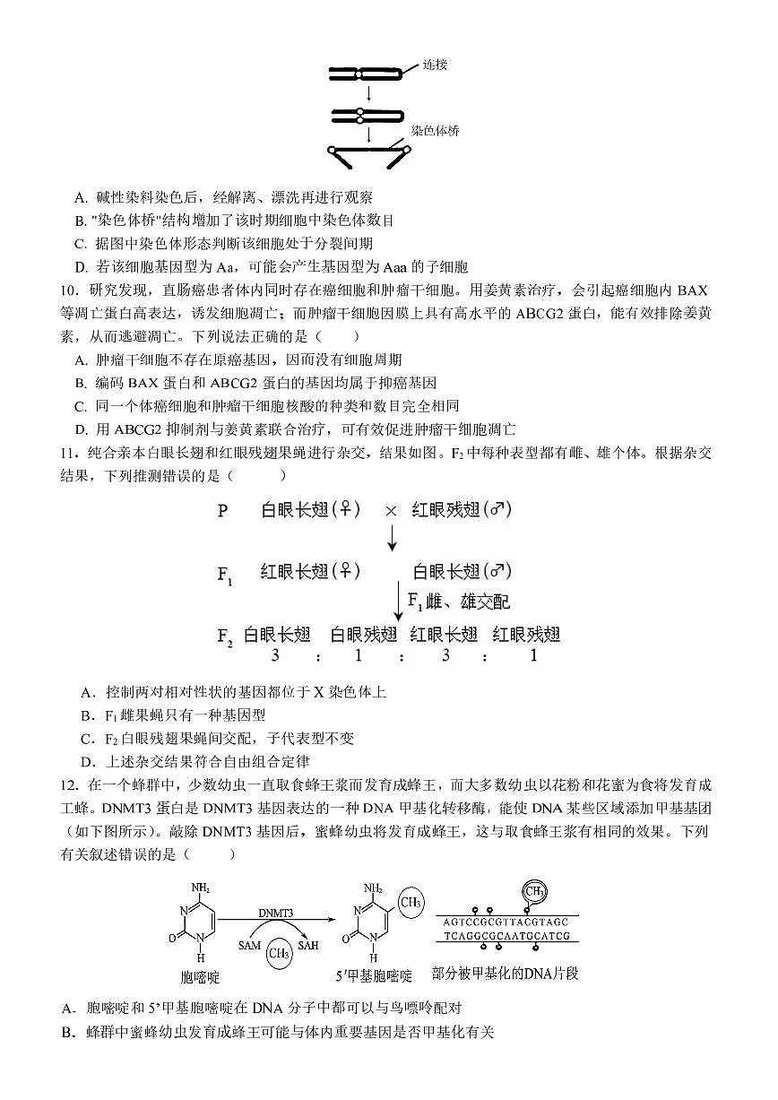 2024届哈尔滨师范大学附属中学高三上学期第三次调研考试(11月)-生物试题（含答案）第3页