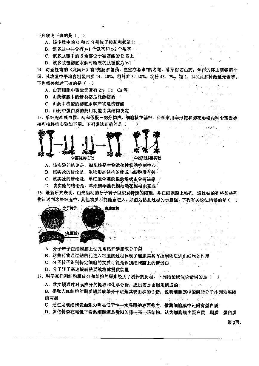 2024届黑龙江省哈尔滨师范大学附属中学高三上学期第二次调研考试-生物试题（含答案）第3页