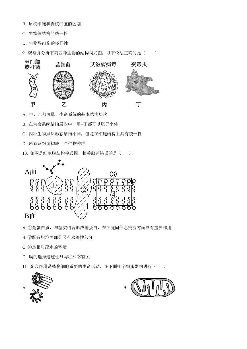 2024届黑龙江省哈尔滨市第三十二中学校高三上学期11月期中试题-生物试题（含答案）第3页