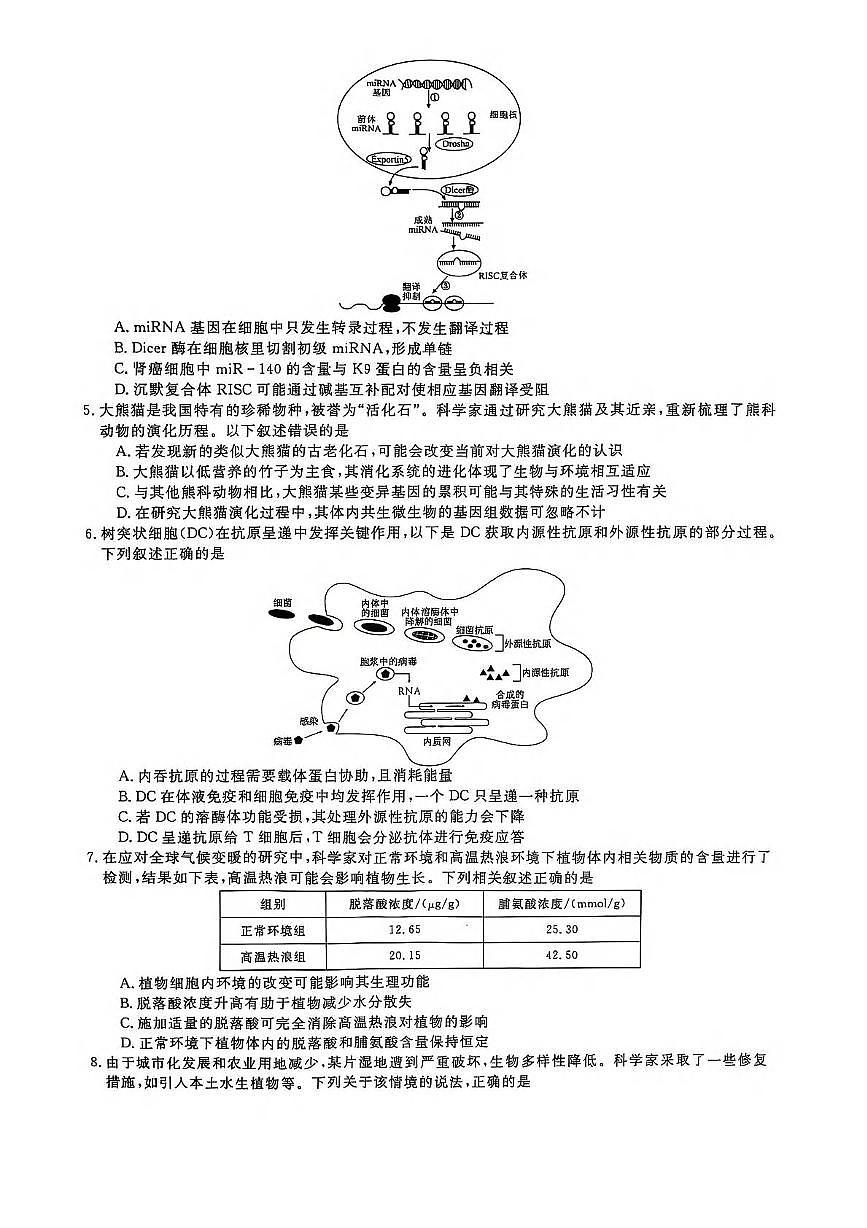 生物丨天一大联考河南省2025届高三下学期3月第二次模拟考试生物试卷及答案第2页