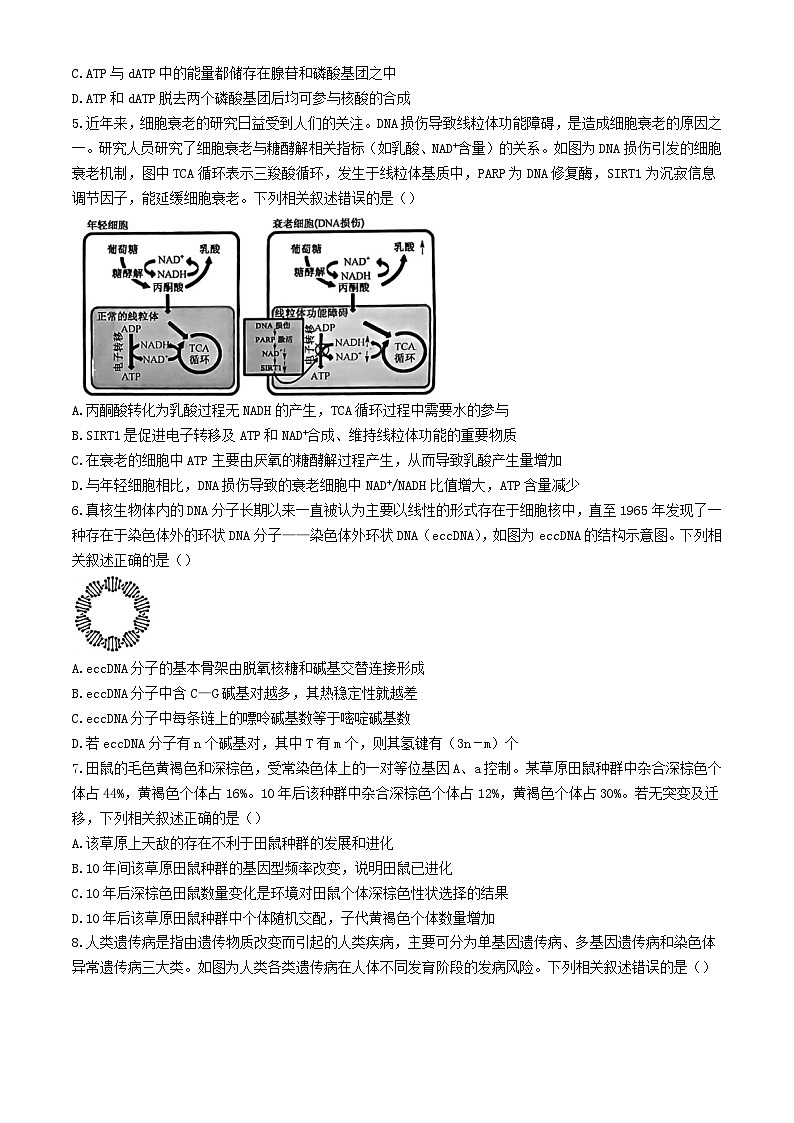 河北省部分高中2024届高三生物下学期三模试题含解析第2页