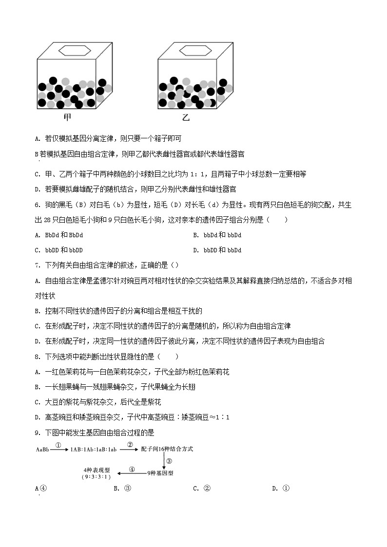 山东省2023_2024学年高一生物下学期3月月考试题含解析第2页