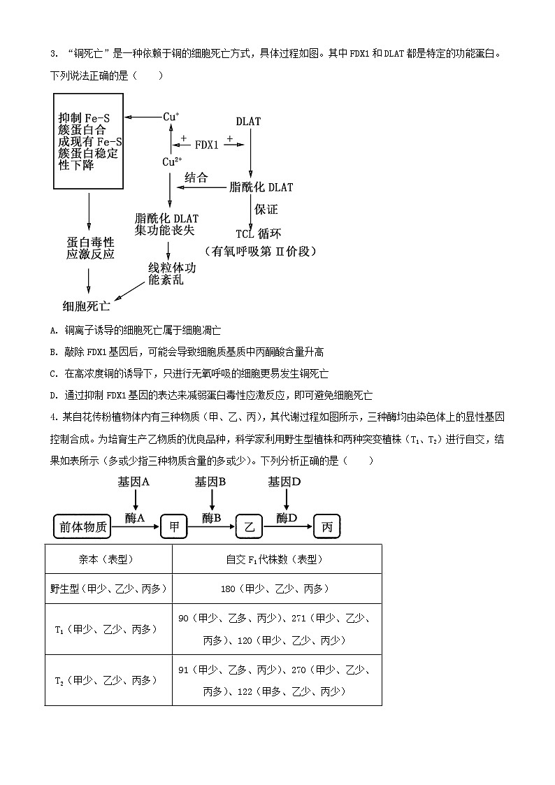 山东省泰安市2024届高三生物下学期3月一轮检测泰安一模含解析第2页