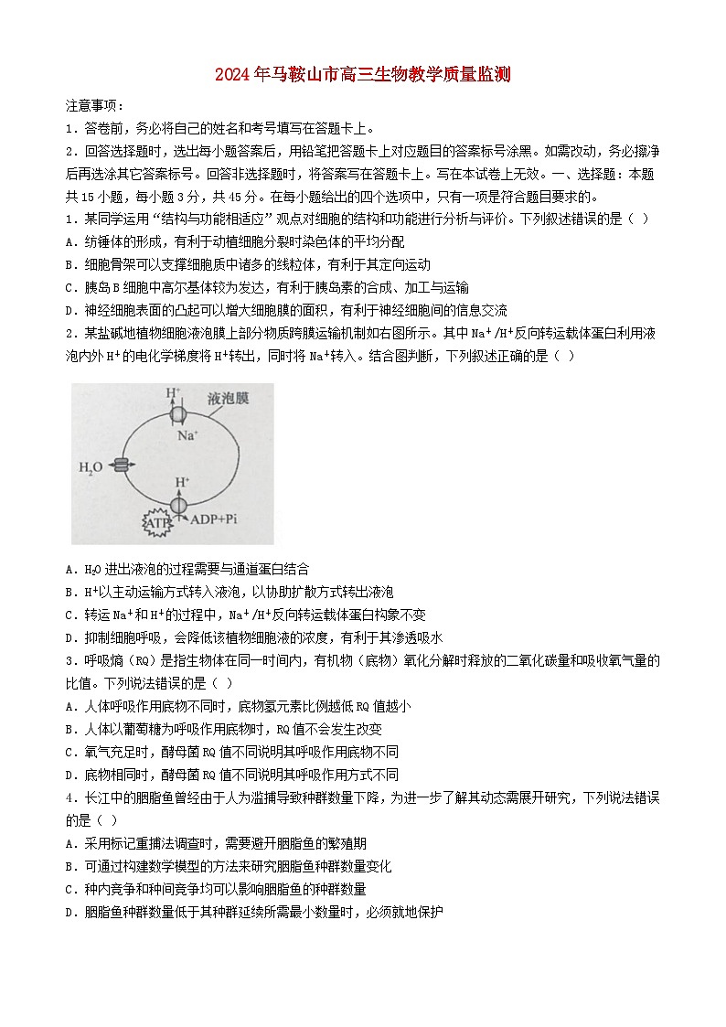 安徽省马鞍山2024届高三生物下学期二模试题第1页