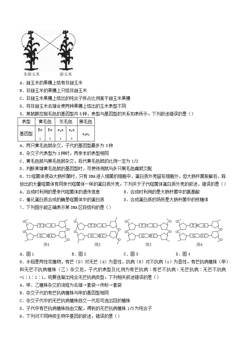 广东省河源市2023_2024学年高一生物下学期5月期中联考试题含解析第2页