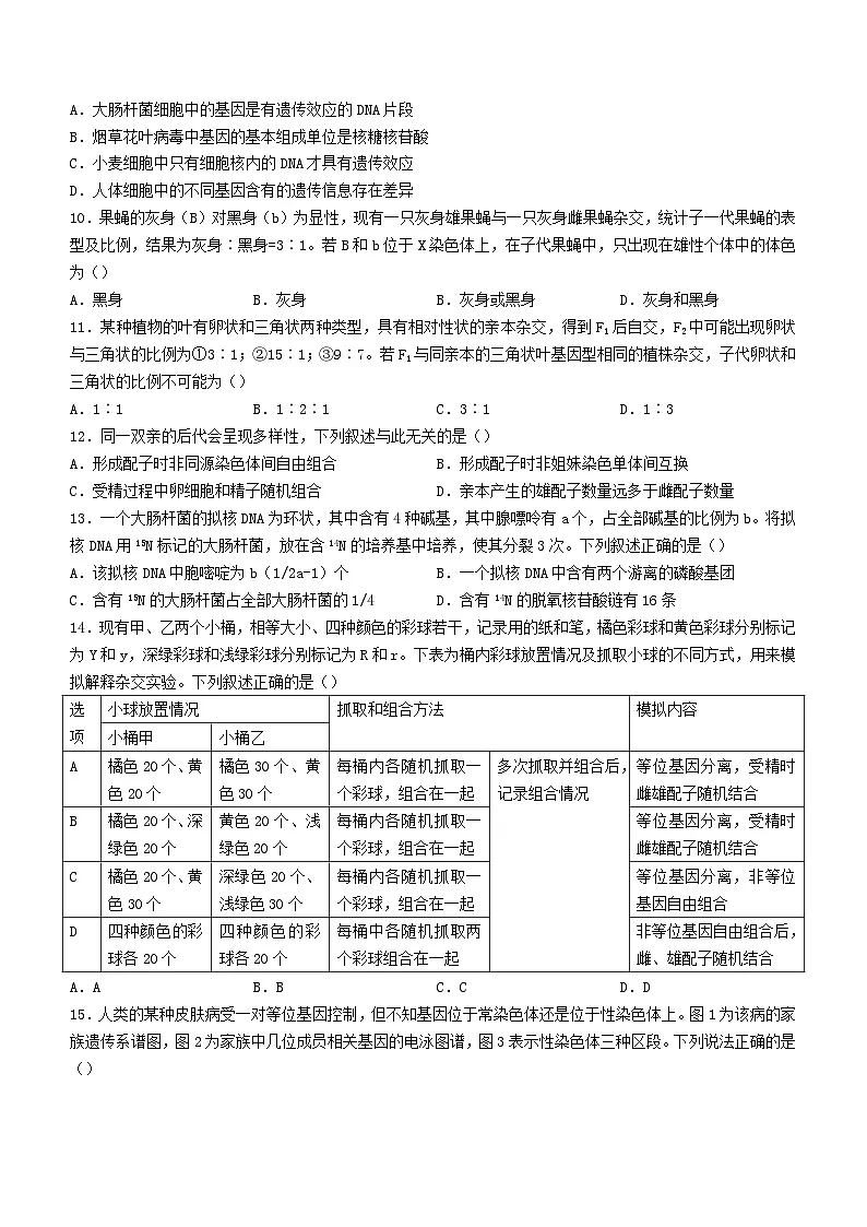 广东省河源市2023_2024学年高一生物下学期5月期中联考试题含解析第3页
