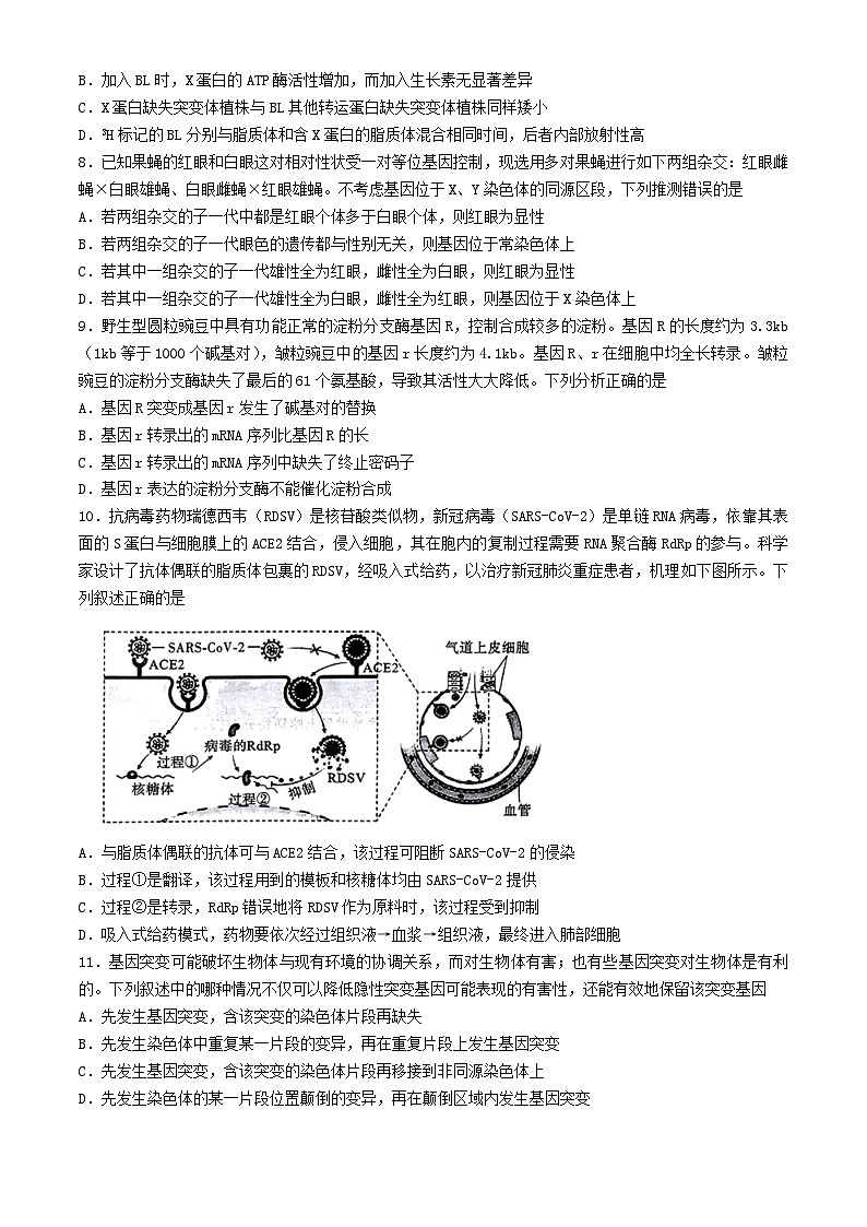 湖北省2024届高三生物下学期5月第四次联合测评三模试题含解析第3页