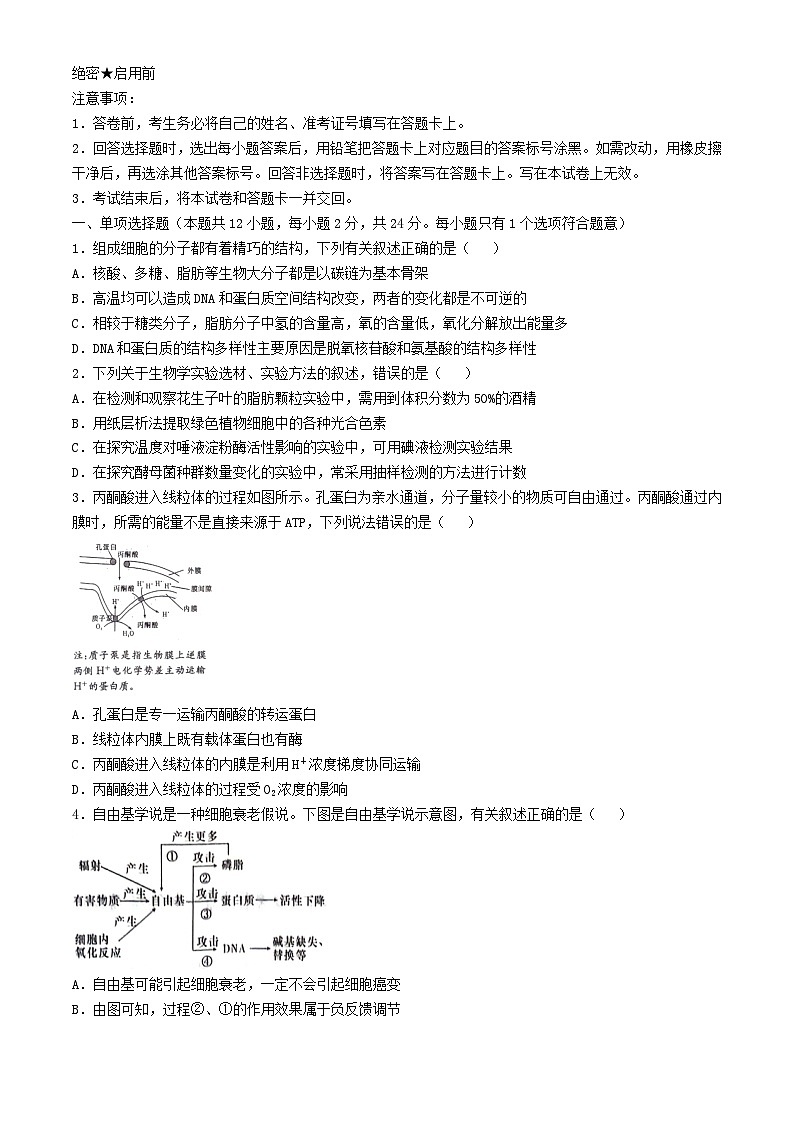 湖南省长沙市2024届高三生物下学期模拟卷一试题含解析第1页