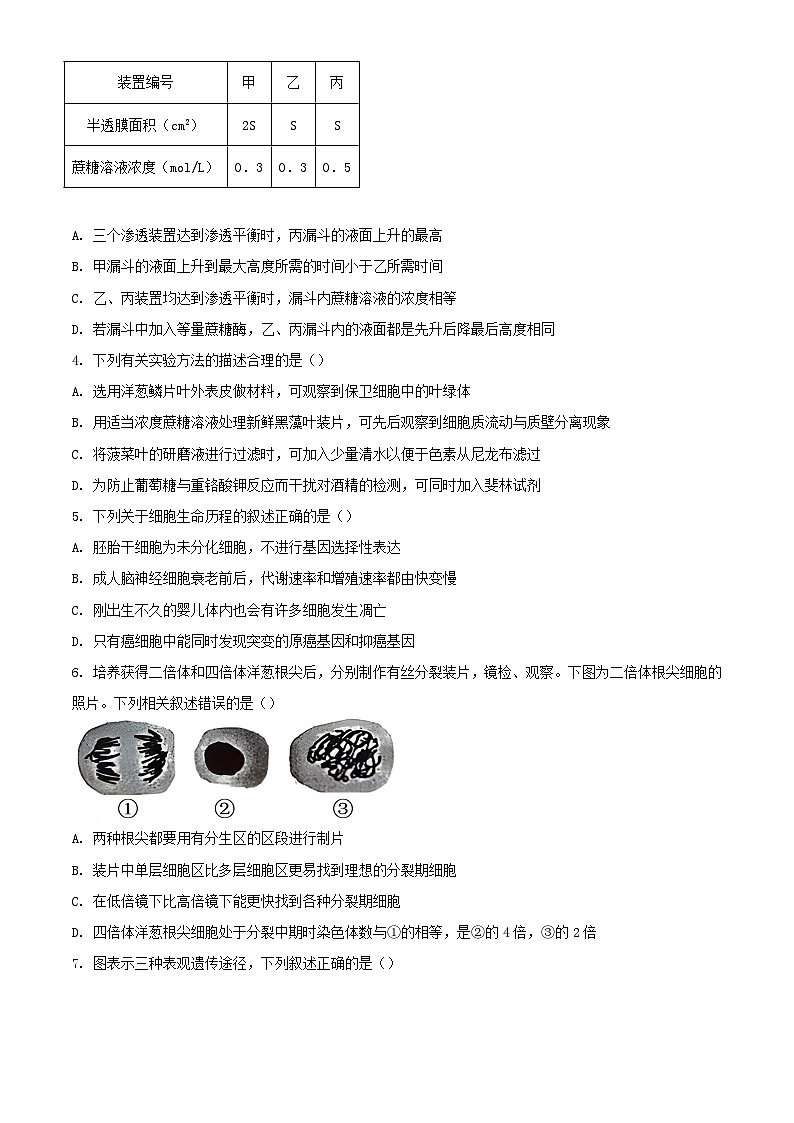 辽宁省2024届高三生物下学期第一次模拟考试含解析第2页