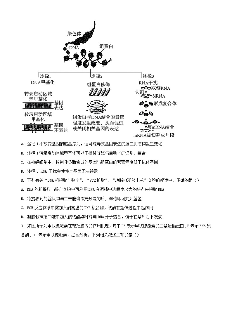 辽宁省2024届高三生物下学期第一次模拟考试含解析第3页