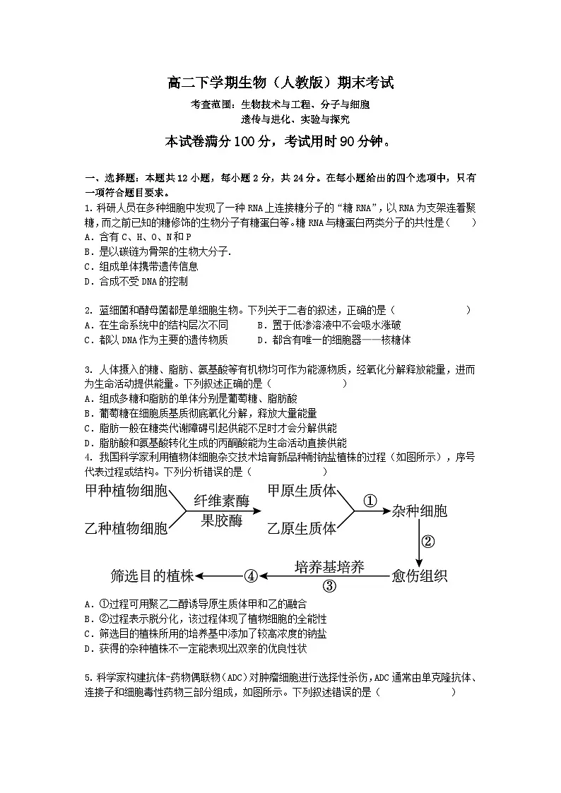 （人教版）高二下学期生物期末考试卷及答案第1页