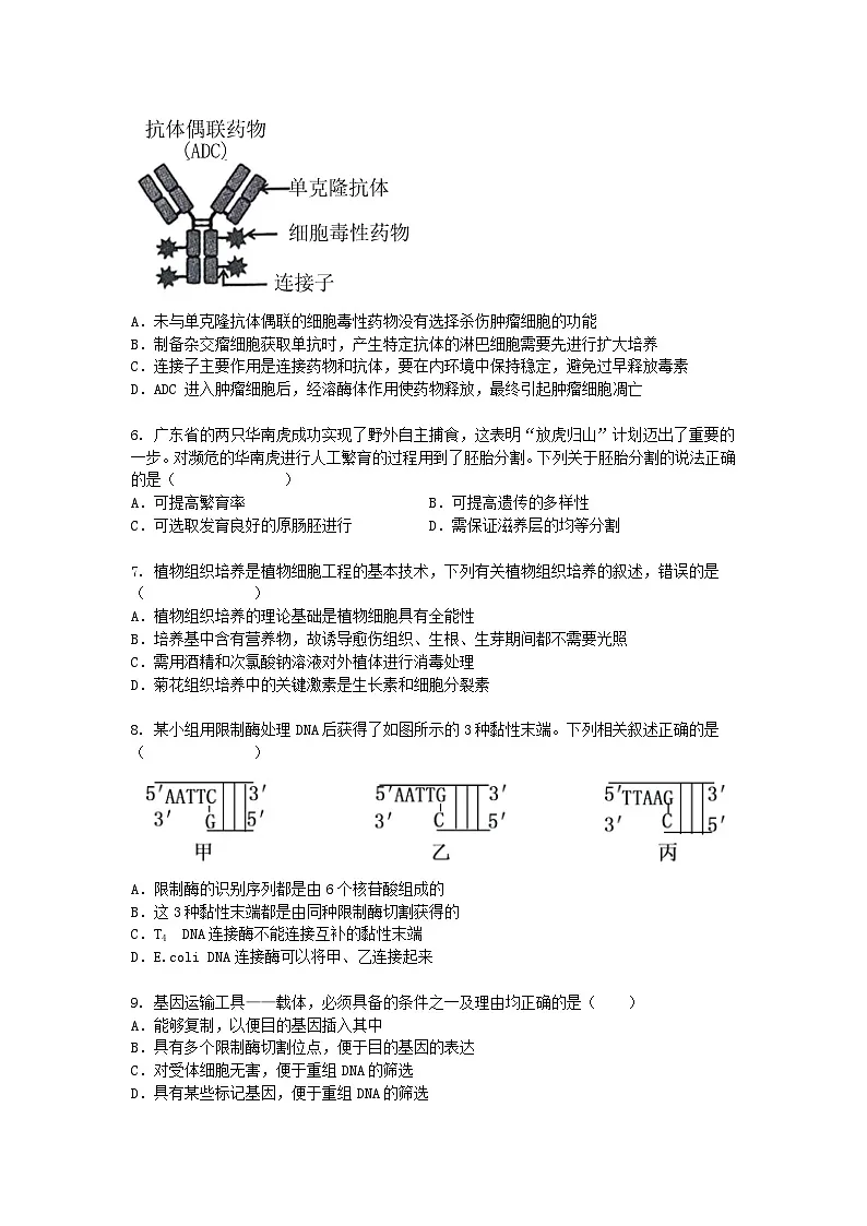 （人教版）高二下学期生物期末考试卷及答案第2页