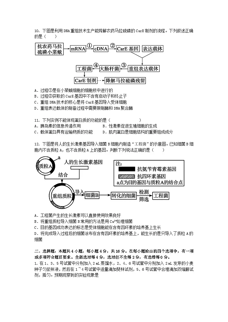（人教版）高二下学期生物期末考试卷及答案第3页