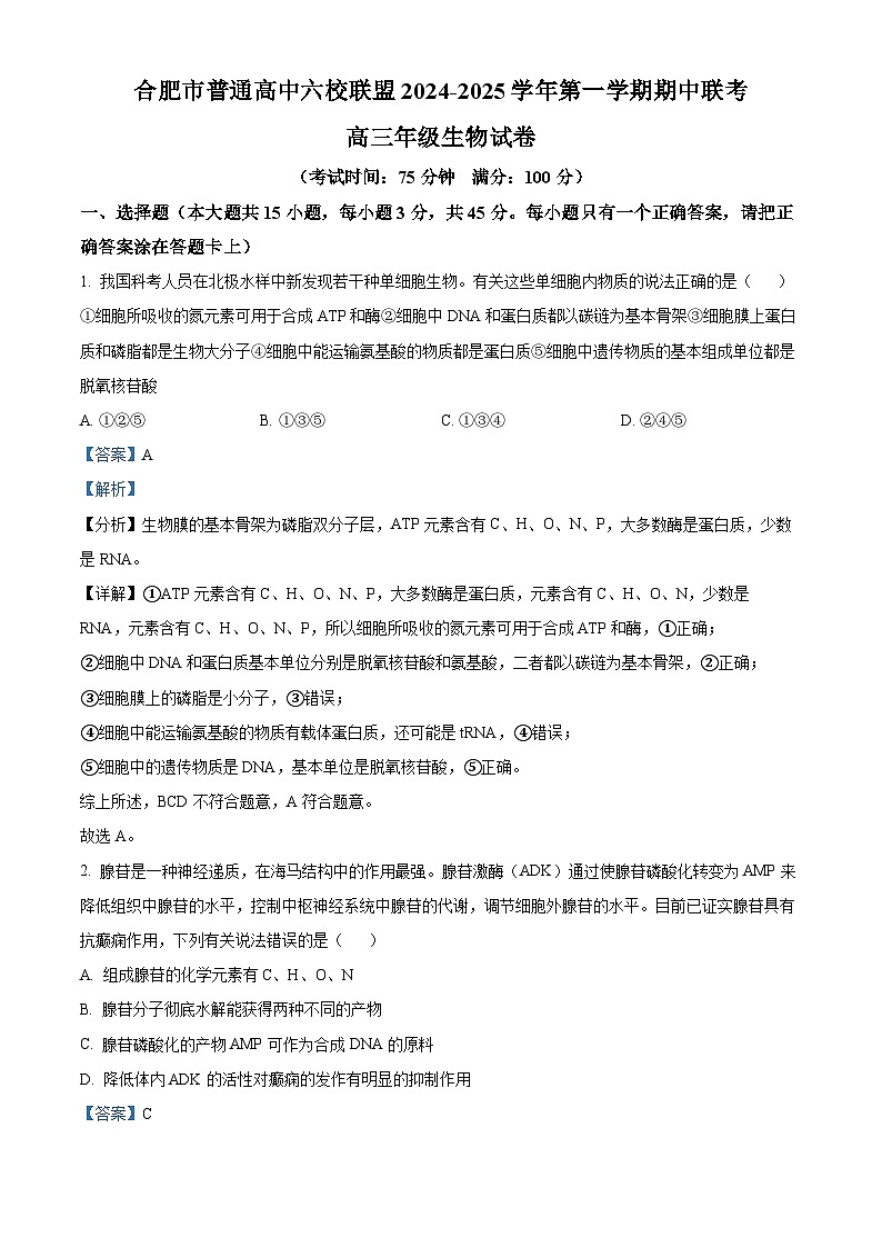 安徽省合肥市普通高中六校联盟2024—2025学年高三上学期期中联考生物试题 含解析第1页