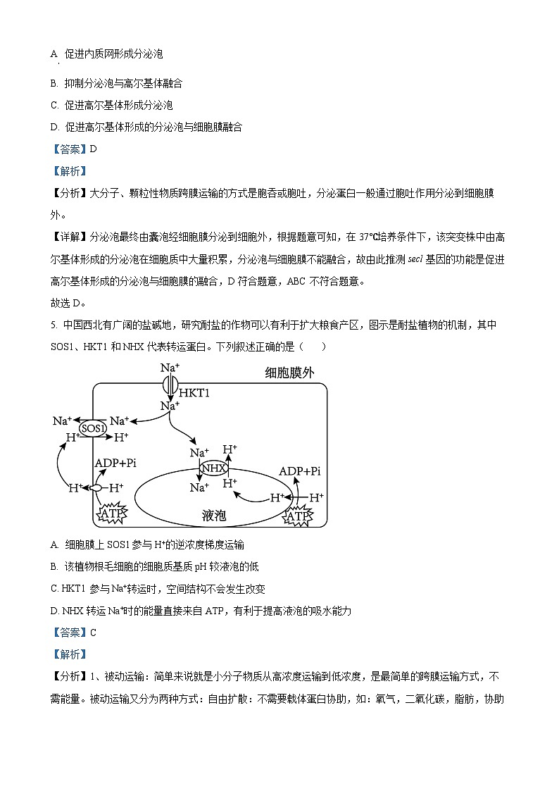 安徽省合肥市普通高中六校联盟2024—2025学年高三上学期期中联考生物试题 含解析第3页