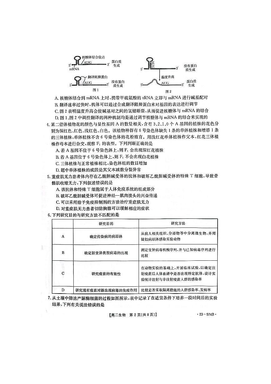 2024届湖北恩施州教育联盟高二下学期（期末考）生物试题（含答案）第2页