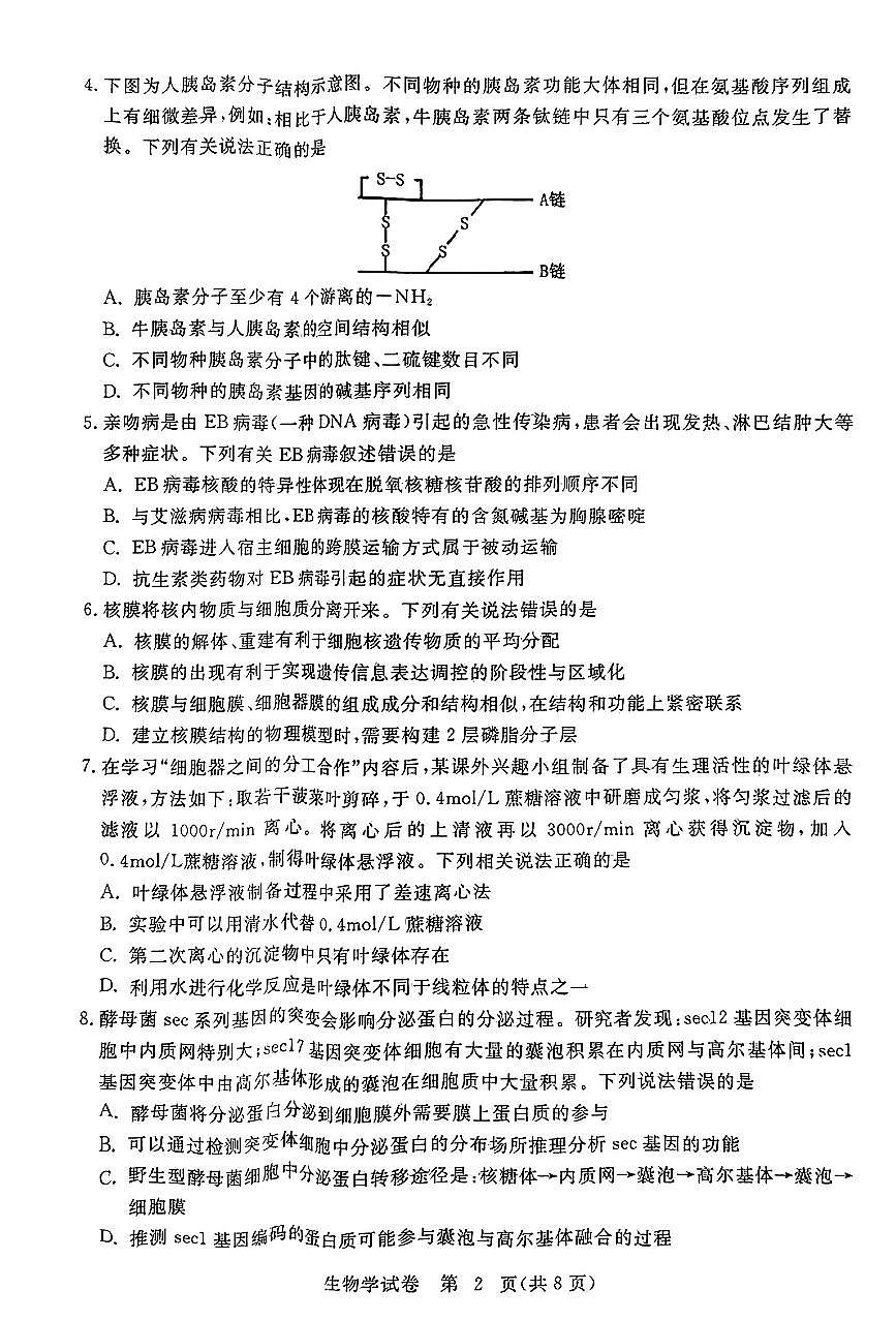 2024届湖北省黄冈市高三上学期9月调研考试-生物试题（含答案）第2页