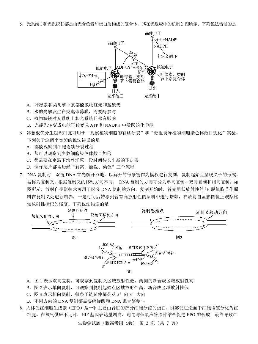 2024届湖北省名校联考高三上学期11月期中考试（11月）-生物试题（含答案）第2页