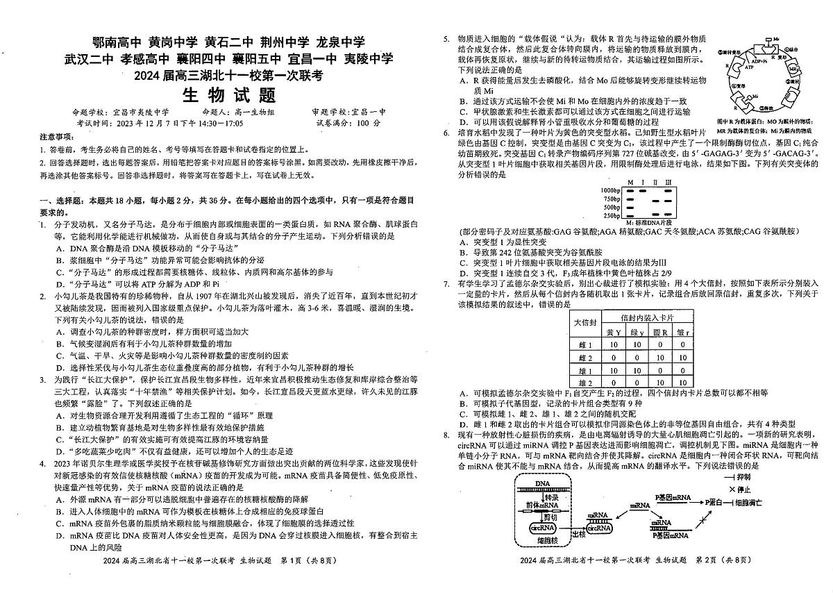 2024届湖北省十一校高三上学期第一次联考（12月）-生物试题（含答案）第1页