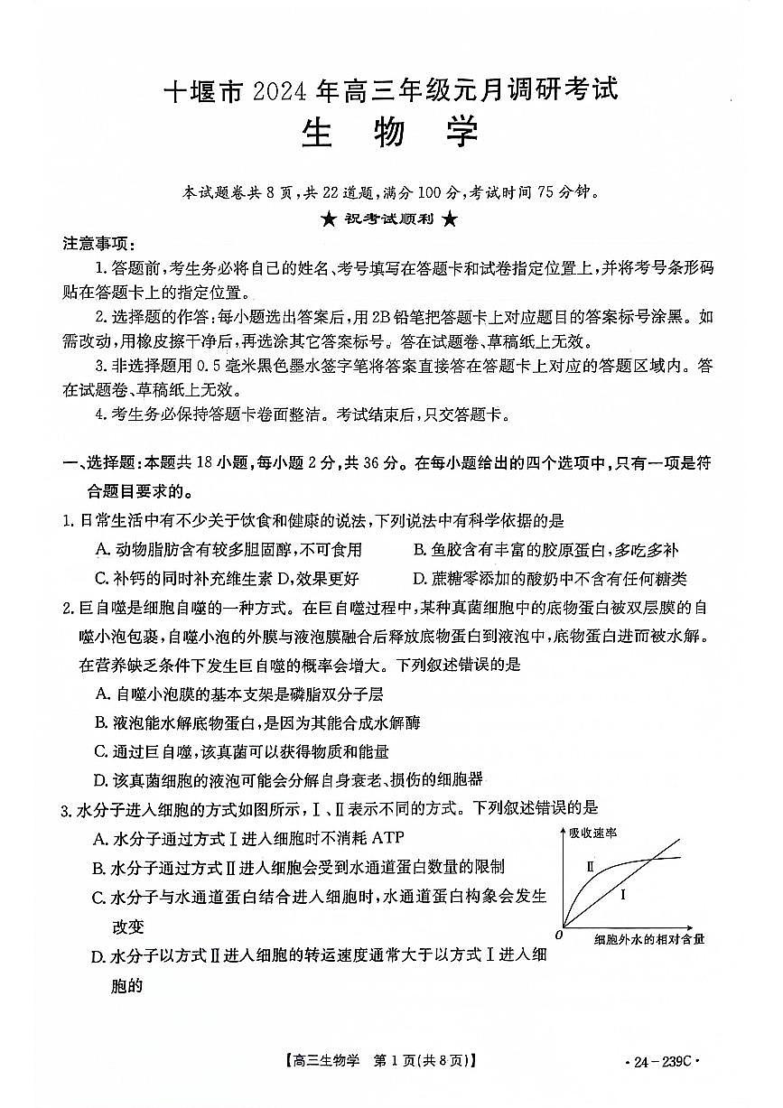 2024届湖北省十堰市高三上学期1月调研考试-生物试题（含答案）第1页