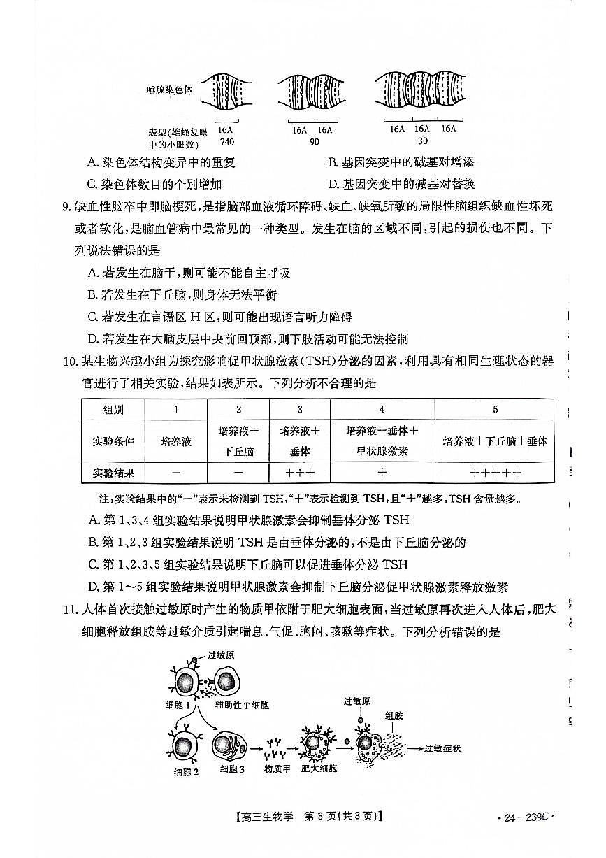 2024届湖北省十堰市高三上学期1月调研考试-生物试题（含答案）第3页