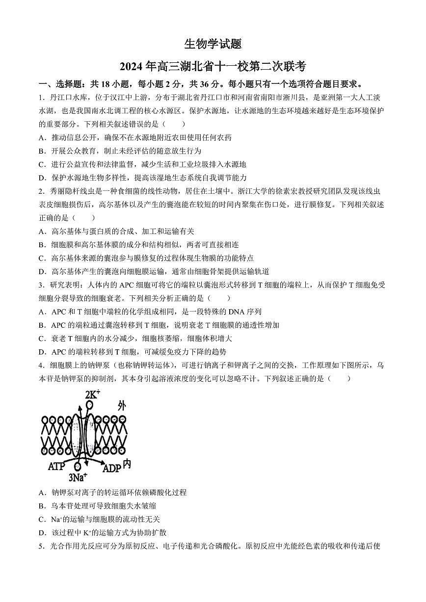 2024届湖北省十一校高三下学期第二次联考试卷（3月）-生物（含答案）第1页
