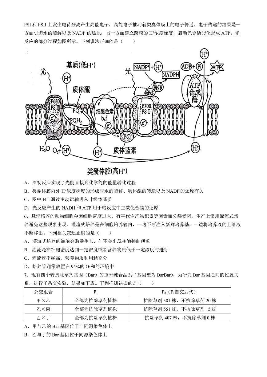 2024届湖北省十一校高三下学期第二次联考试卷（3月）-生物（含答案）第2页