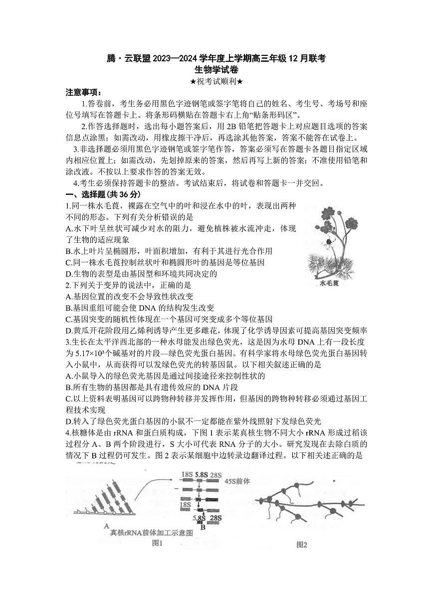 2024届湖北省腾云联盟高三上学期12月联考-生物试题（含答案）第1页