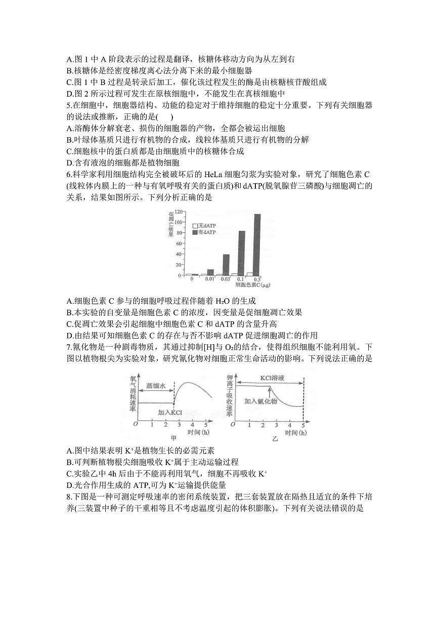 2024届湖北省腾云联盟高三上学期12月联考-生物试题（含答案）第2页