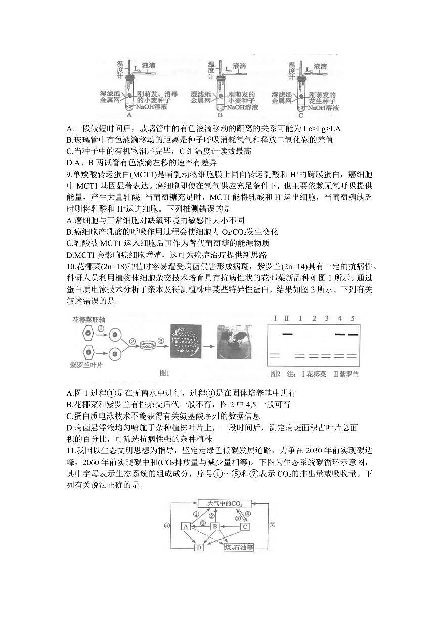 2024届湖北省腾云联盟高三上学期12月联考-生物试题（含答案）第3页