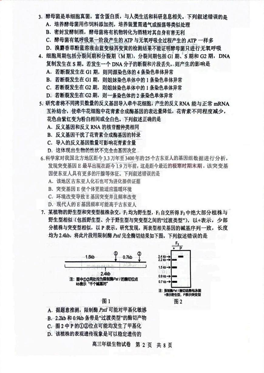 2024届湖北省武汉市武昌区高三上学期期末调考(1月)-生物试题（含答案）第2页