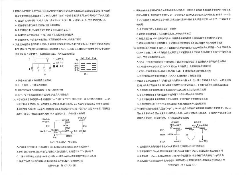 2024届湖北省圆创联盟高三下学期3月联合测评-生物试卷（含答案）第2页