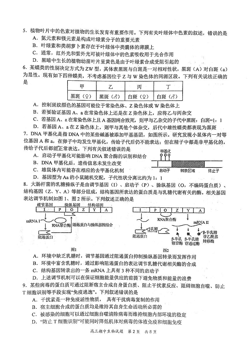 2024届湖北省武汉市华中师大一附中高三（上）期中考试（11月）-生物试题（含答案）第2页