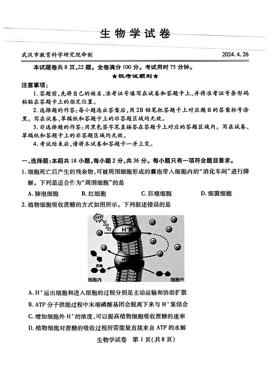 2024届湖北省武汉市高三第四次调研-生物试卷（含答案）第1页