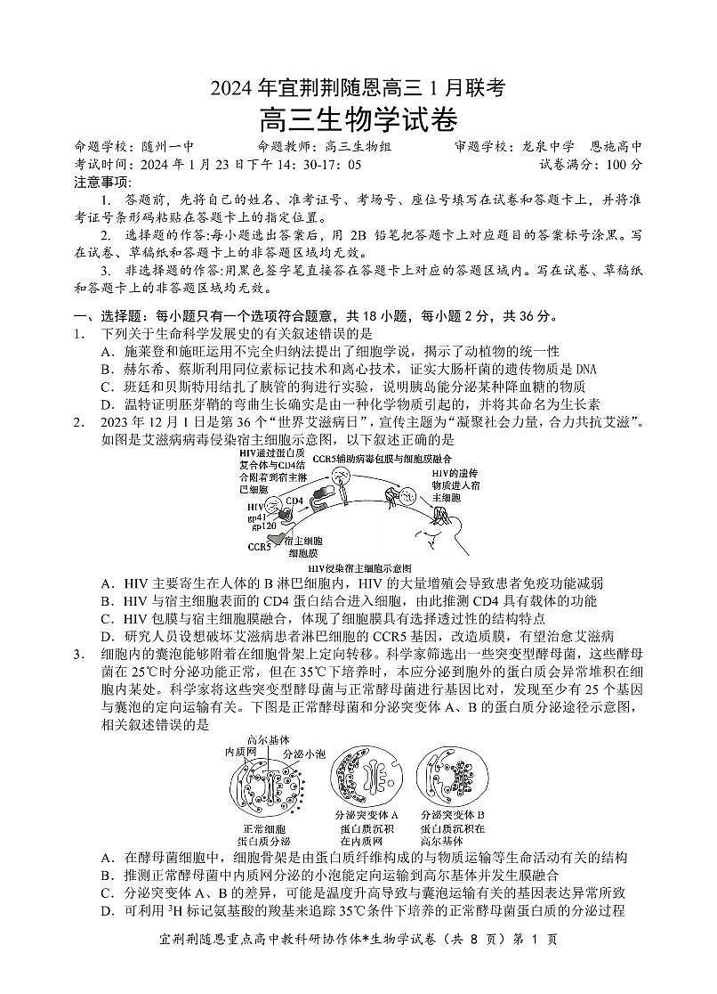 2024届湖北省宜荆荆随恩高三上学期1月期末联考-生物试题（含答案）第1页