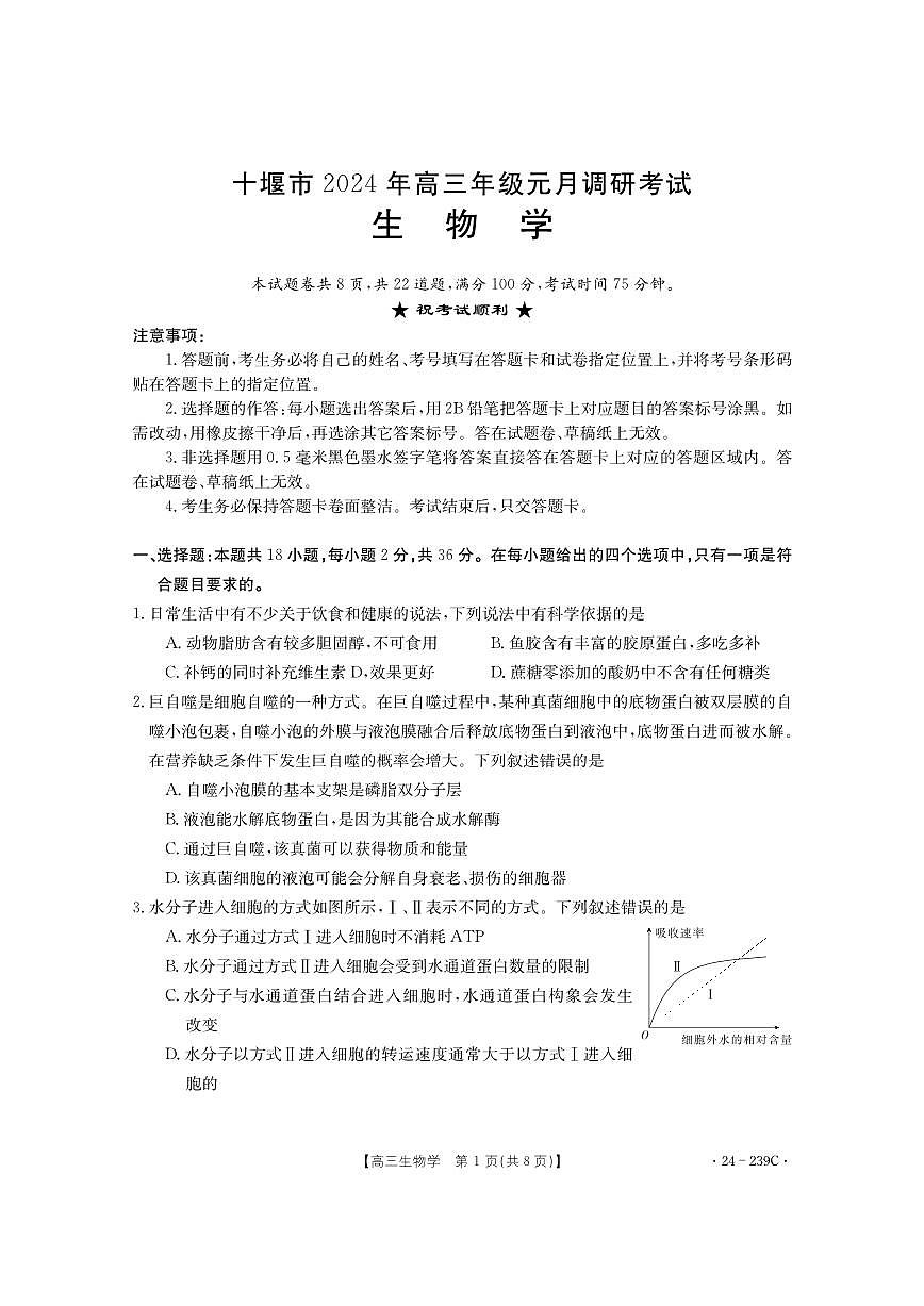 2024届湖北省十堰市高三上学期期末考试（1月）-生物试题（含答案）第1页