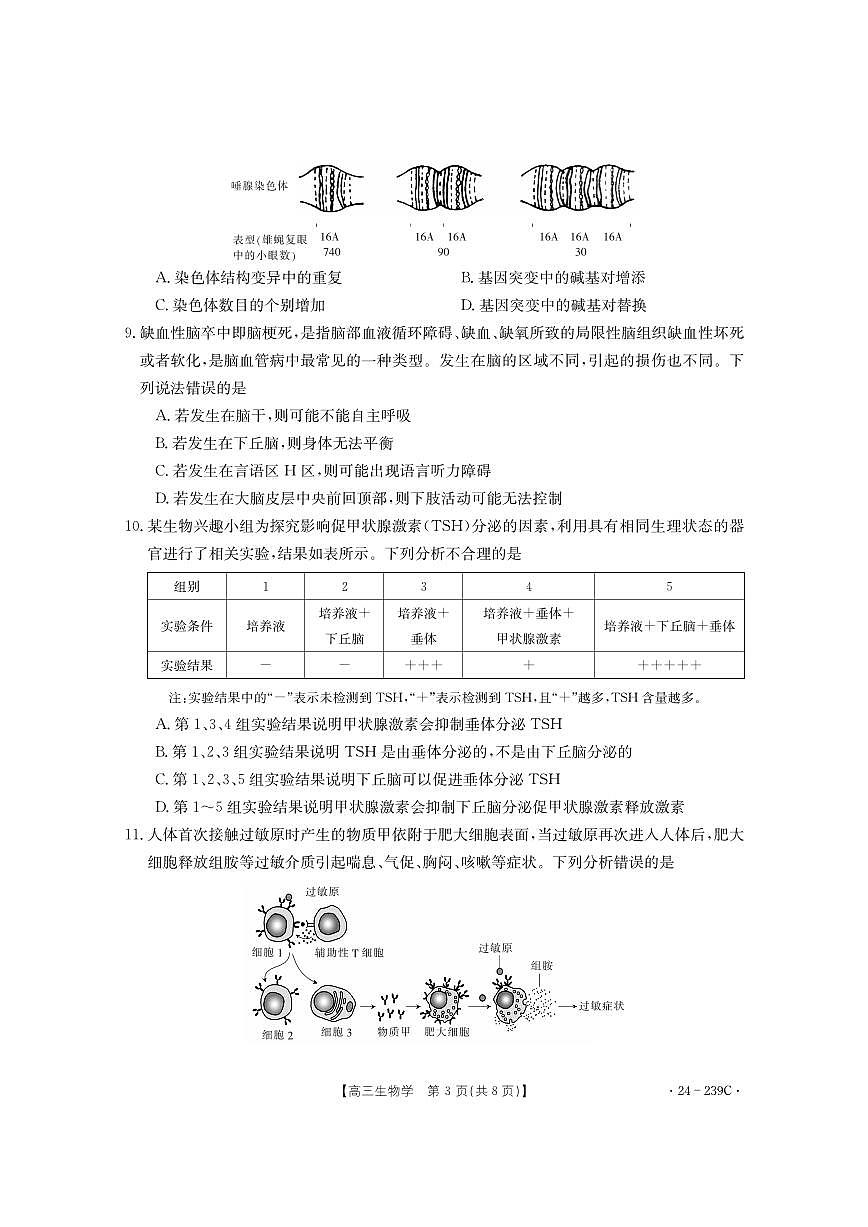 2024届湖北省十堰市高三上学期期末考试（1月）-生物试题（含答案）第3页