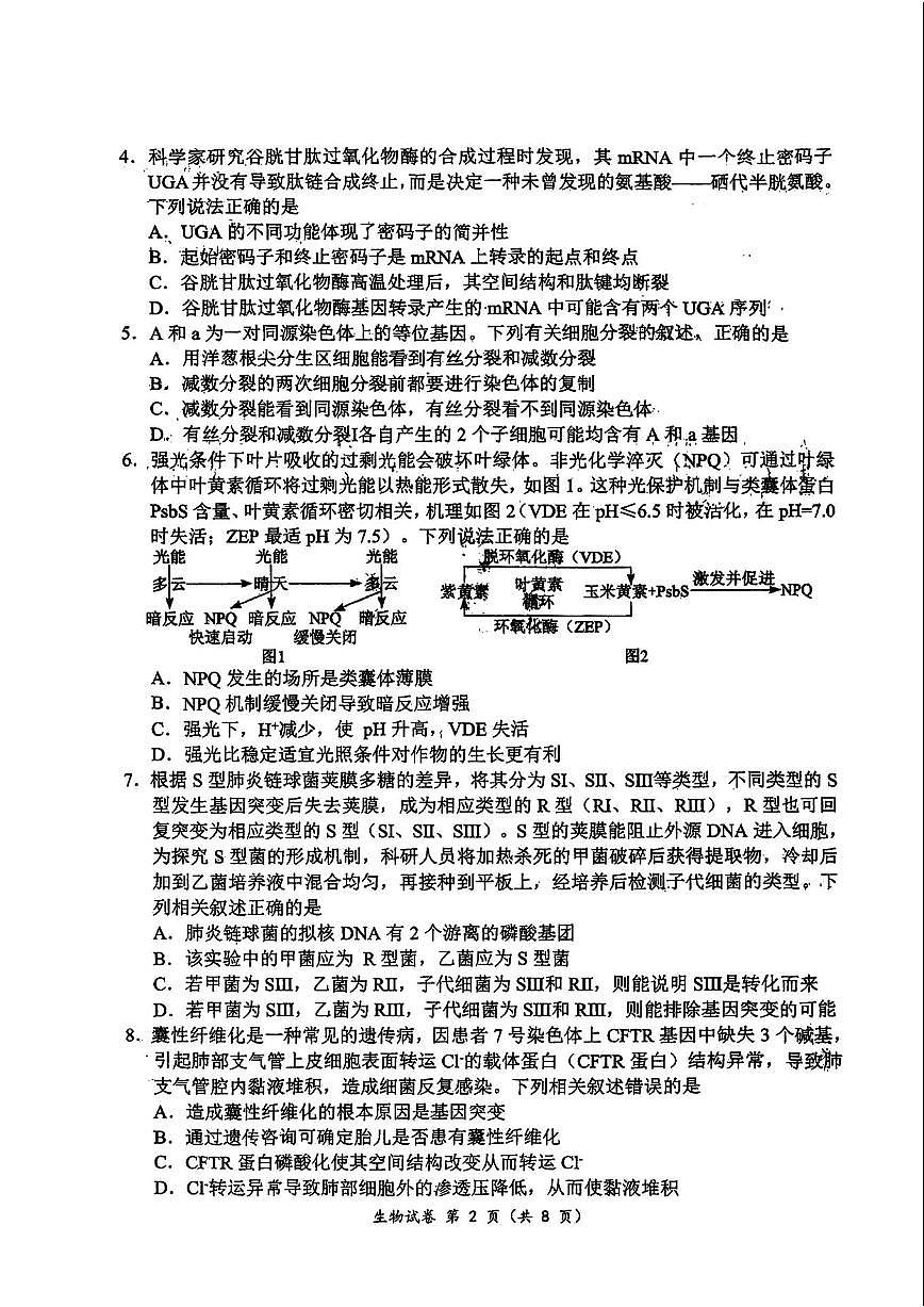 2024届湖北腾云联盟高三年级十月联考-生物试题（含答案）第2页