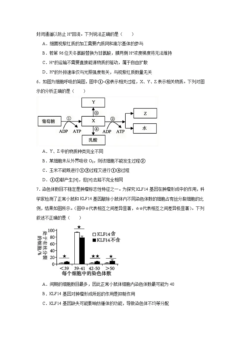 2025届湖北省十一校高三下学期第二次联考生物试题（附答案解析）第2页