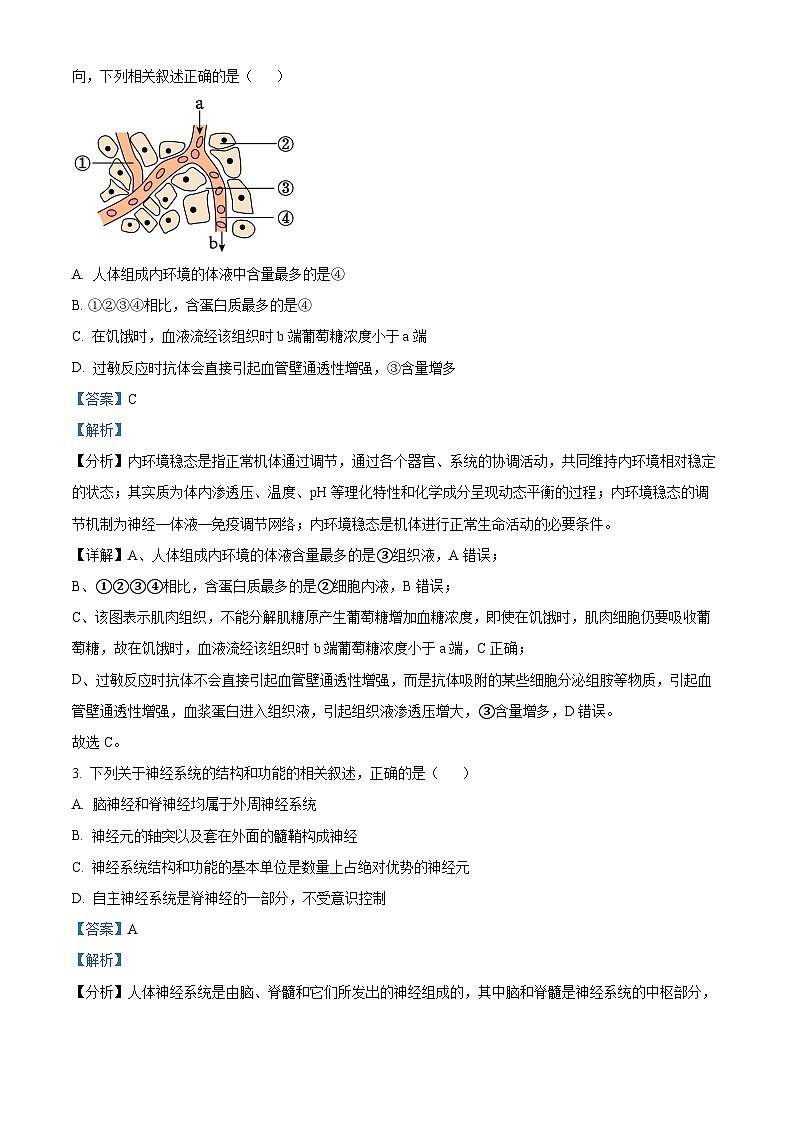 河北省保定市定州市2024-2025学年高二上学期11月期中生物试题 含解析第2页