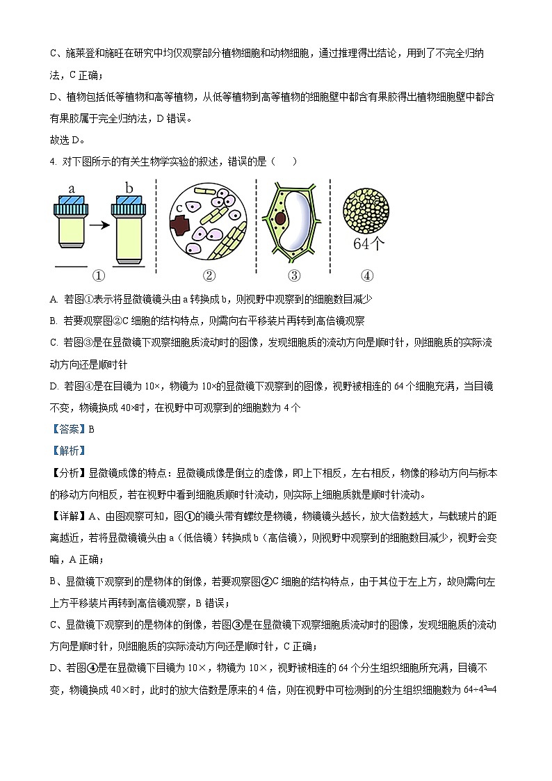 广东省茂名市化州市2024-2025学年高一上学期11月期中生物试题 含解析第3页