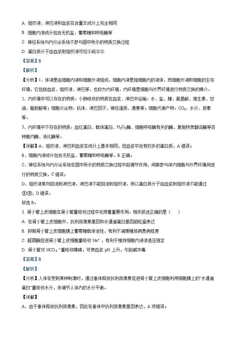 江苏省徐州市2024-2025学年高二上学期期中考试生物试题 含解析第2页