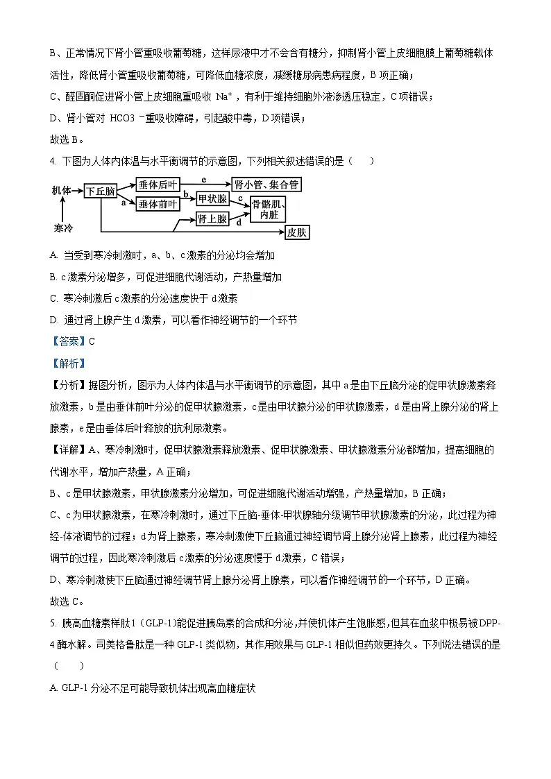 江苏省徐州市2024-2025学年高二上学期期中考试生物试题 含解析第3页