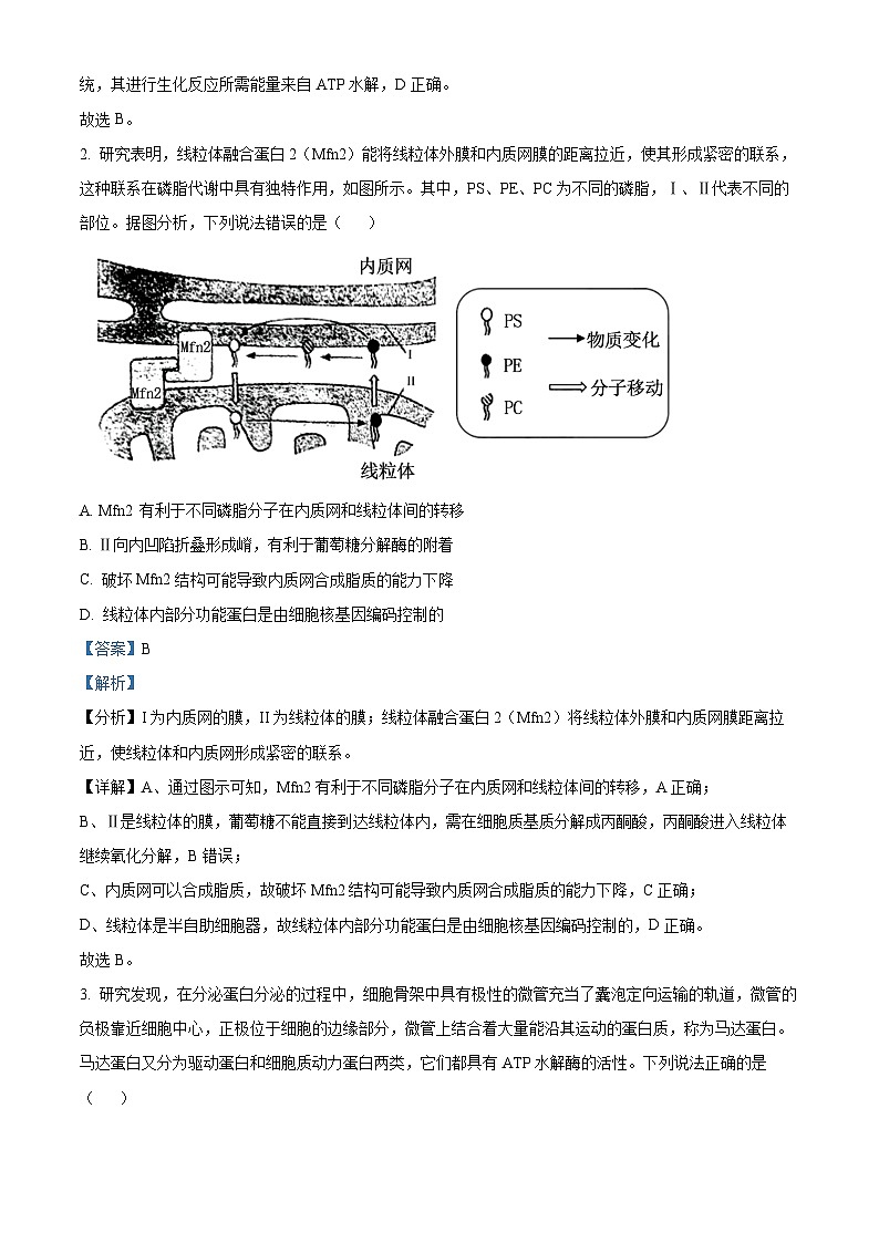 山东省青岛市2024-2025学年高三上学期11月期中生物试题 含解析第2页