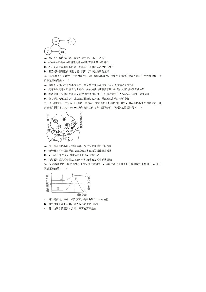 乌鲁木齐地区2025年高三年级第二次质量监测生物试卷含答案第3页