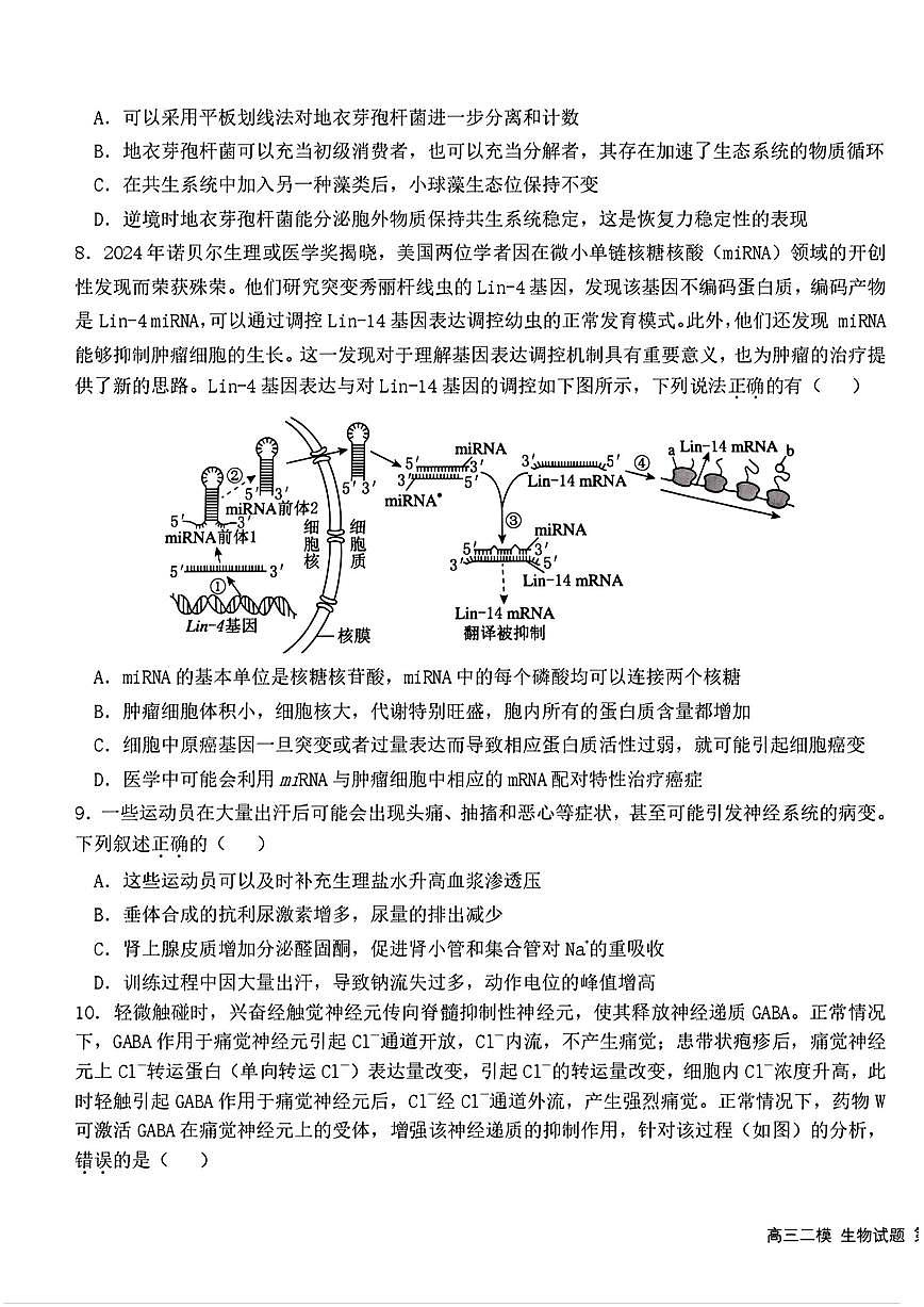 黑龙江哈尔滨六中2025届高三高考模拟第二次模拟-生物试题+答案第3页