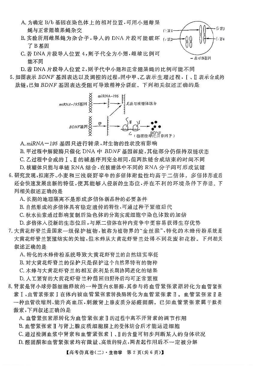 2025年普通高中学业水平选择性考试高考模拟仿真卷（二）-生物试题+答案第2页