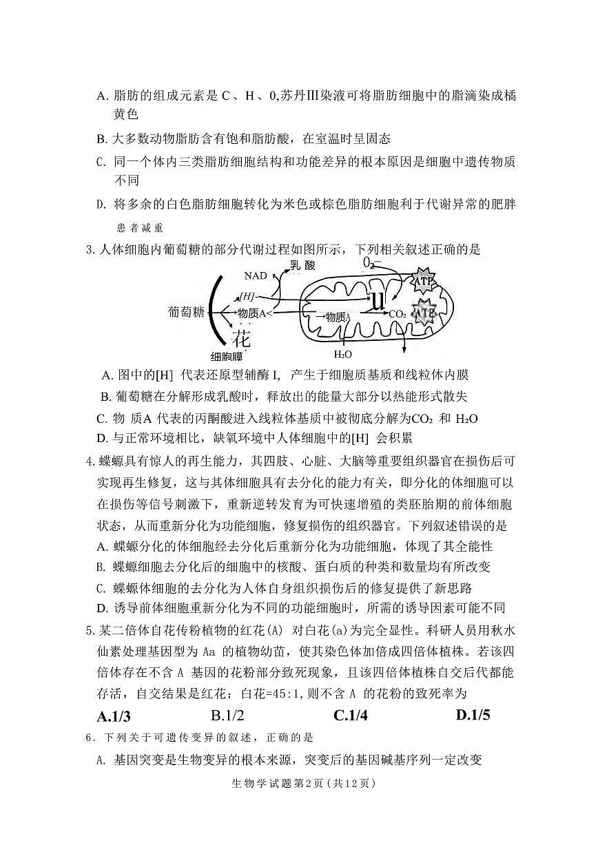 生物丨湘豫名校联考河南省2025届高三下学期3月春季学期第二次模拟考试（湘豫二模）生物试卷及答案第2页