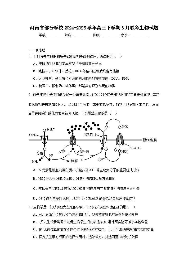 河南省部分学校2024-2025学年高三下学期3月联考生物试题（附答案解析）第1页
